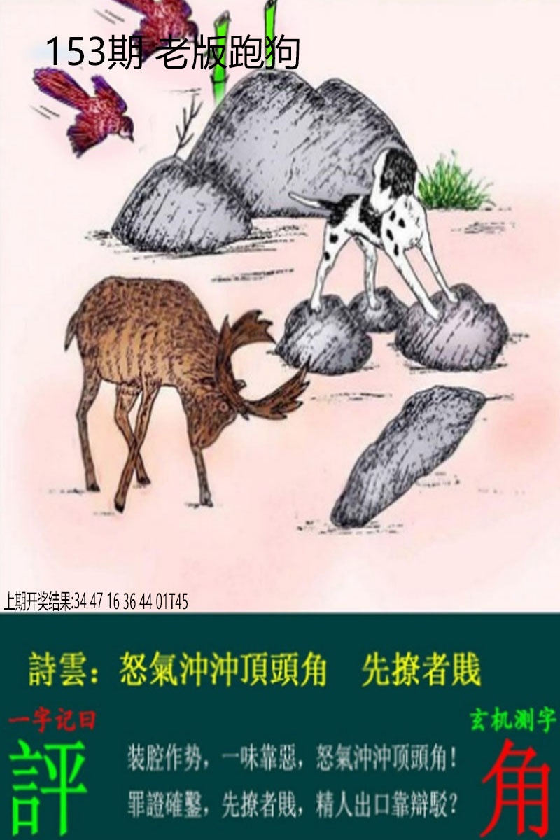 153期老板跑狗[图]